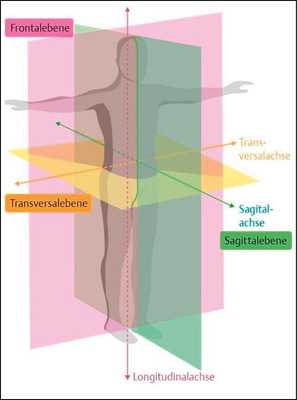 Abbi﻿ldung 3 : Ansicht der Bewegungsebenen: Frontal, Sagittal und Transversal (Anatomie Physiologie. 2., 2020)