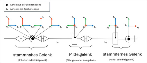 Abbild﻿ung 12: Kinematische Kette einer Gliedmaße mit Koordinatensystemen nach Denavit-Hartenberg-Konvention