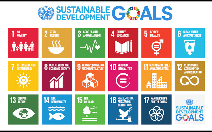Abb. 1:    Global Goals der UN (Quelle: SDGS, https://www.undp.org/content/undp/en/home/sustainable-development-goals.html)