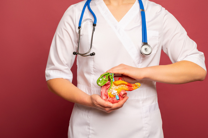 Female doctor with a stethoscope is holding pancreas in the hands. Help and care concept