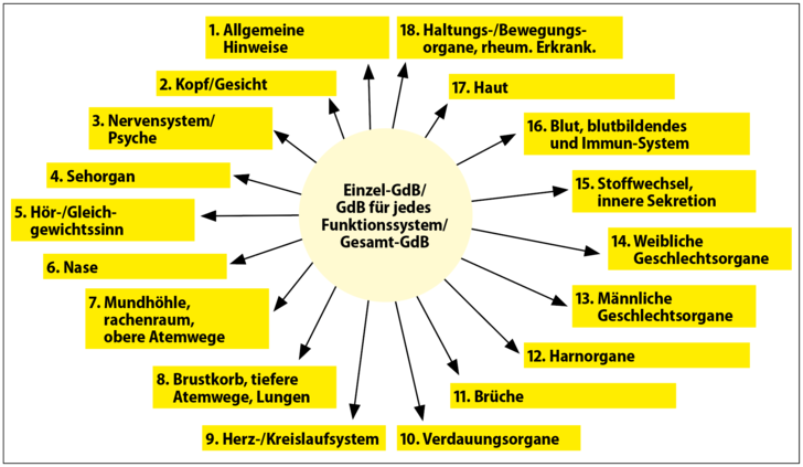 Abbildung 1