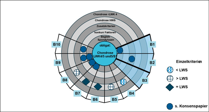 Tabelle: typische Befundkonstellationen
Matrix der „Befundsynopsis für B-Konstellationen“
Hinweise:
- entscheidendes Bild-Bezugskriterium – „Majorkriterium“ - ist die „Chondrose Grad II im Röntgen bzw. Pfirrman Grad IV im MR bei LWK 4 – SWK 1 (blauer Innenkreis) – für eine anerkennende BK-Bewertung ist dies obligat - Ausnahme: C1-Konstellation (s. dort)
- Kranial von LWK 4 lokalisierte Chondrosen und „Begleitspondylosen“ sind hingegen fakultativ und definieren die nicht-anerkennungsfähigen B-Konstellationen (dunkelgraue Ringe)
- „Zusatzkriterien“ und „konkurrierende Faktoren“ werden (hellgraue Ringe) zudem durch den klinischen Gutachter erfasst und können den bildmorphologischen Konstellationsbefund modifizieren. 
Ziel der primär-fachradiologischen Bildanalyse ist zunächst die Ermittlung eines anerkennungsfähigen Schadensbildes. Bei Nicht-B1-; -B2- oder -C1-Konstellation ist der klinische Begutachtungsprozess abgeschlossen, da kein anerkennungsfähiges Schadensbild vorliegt.
- Die flächig-blau unterlegten Konstellationen sind in der Praxis häufig. Hiervon definieren B1- und B2-Konstellationen (schwarze dicke Abgrenzung) die BK-relevanten Zusammenhänge aller B-Konstellationen, wie oben erläutert.