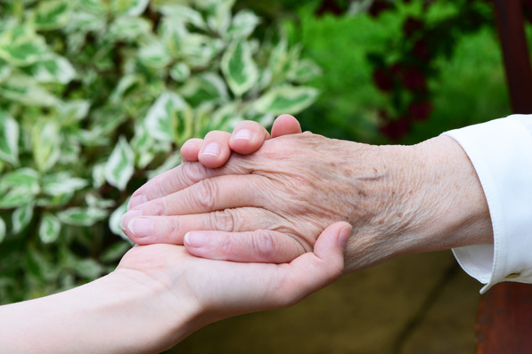 Eine jüngere Hand, die sanft eine ältere Hand hält, mit Grünzeug im Hintergrund. - © Printemps - stock.adobe.com